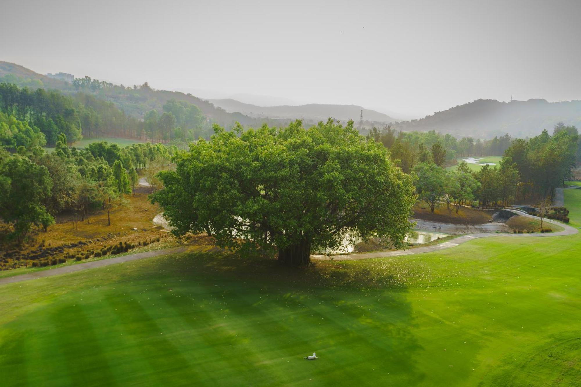 Oxford Golf Resort Pirangut Buitenkant foto